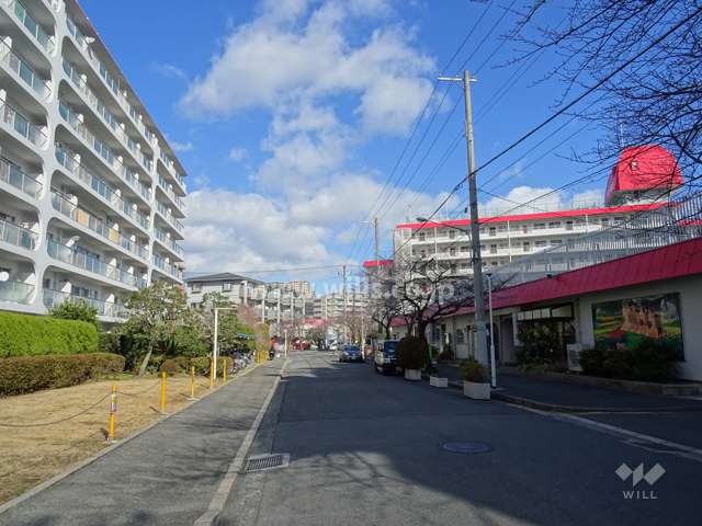 敷地南東側の前面道路（南西側から）