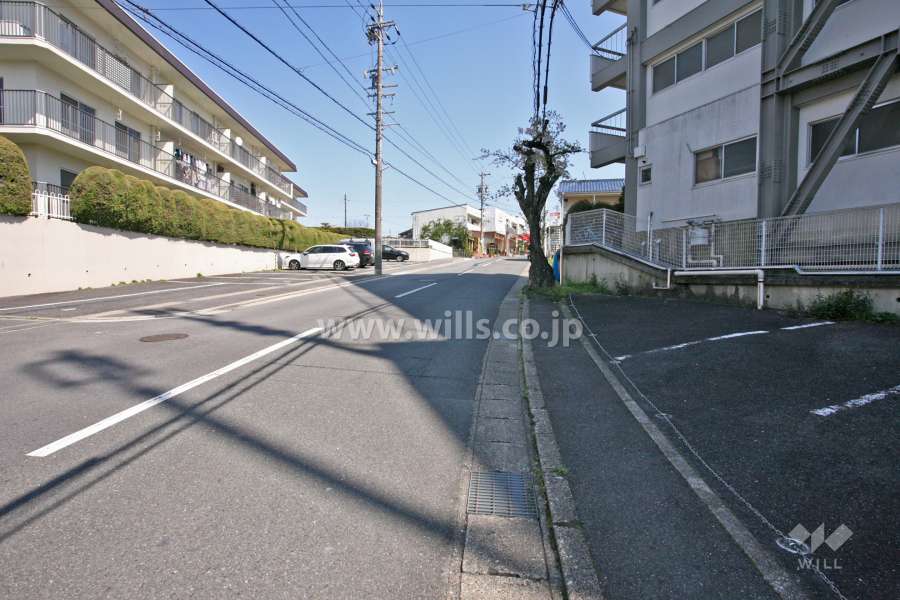 敷地南西側の前面道路(北西側から)