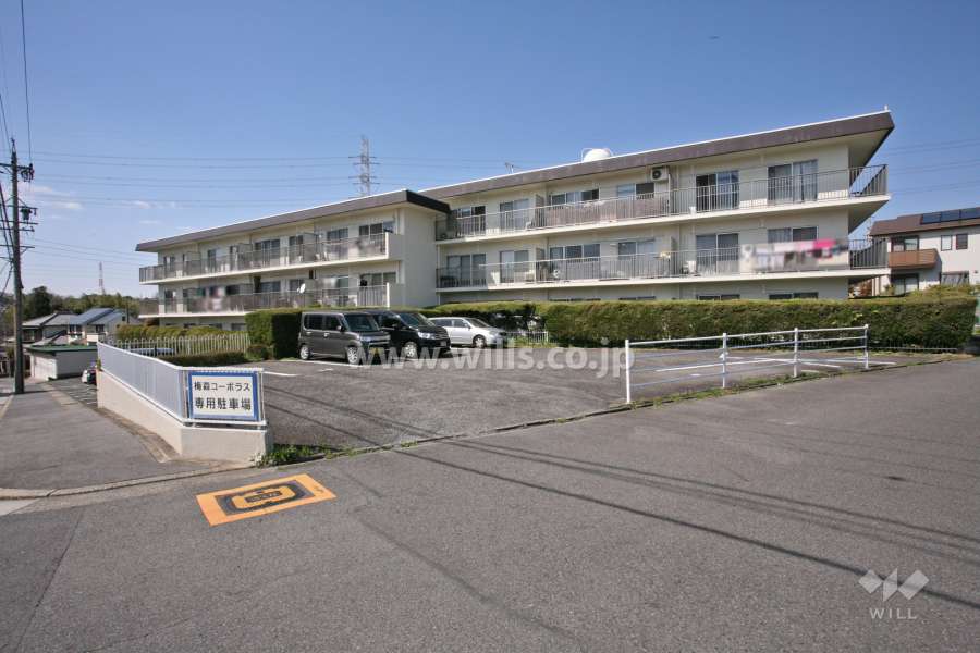 梅森コーポラスの外観(南側から)