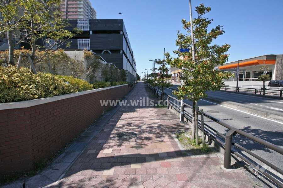 敷地北側の前面道路