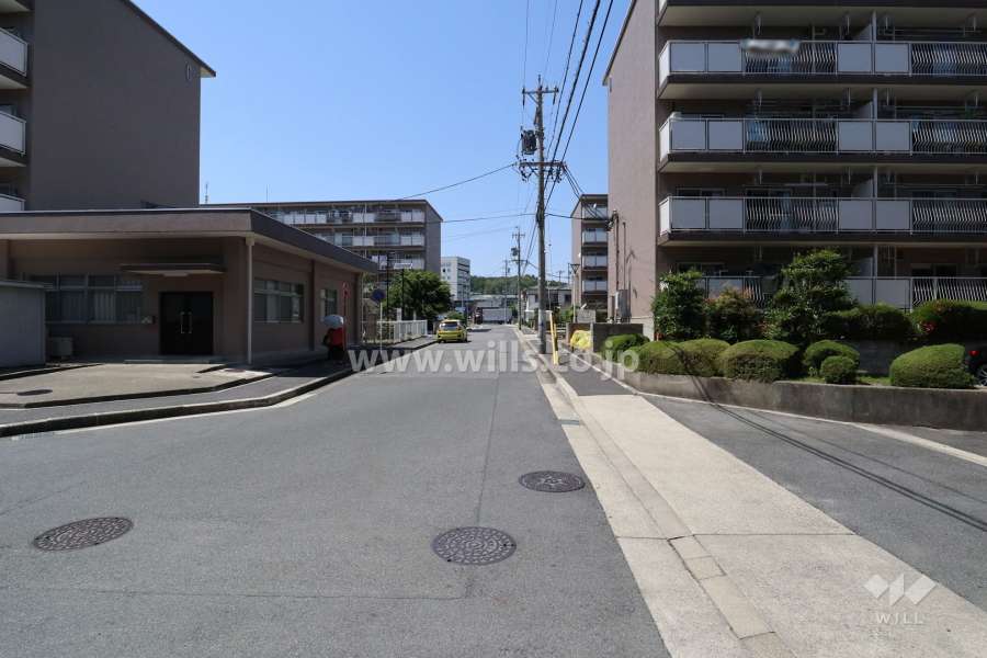 敷地西側の前面道路（南側から）