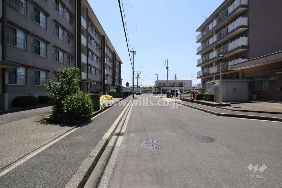 敷地西側の前面道路（東側から）