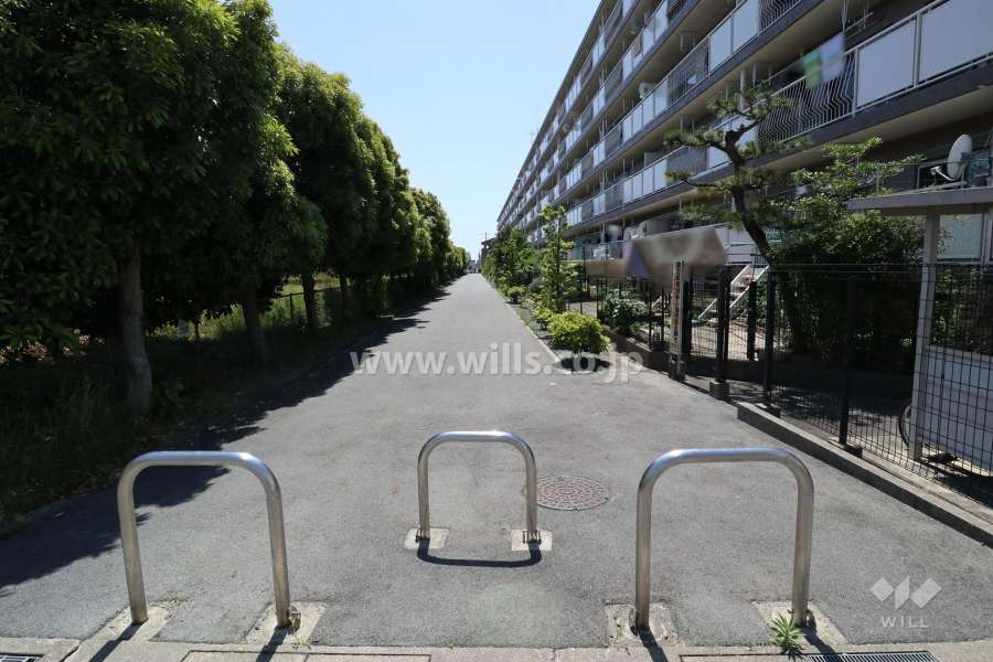 敷地南側の歩道