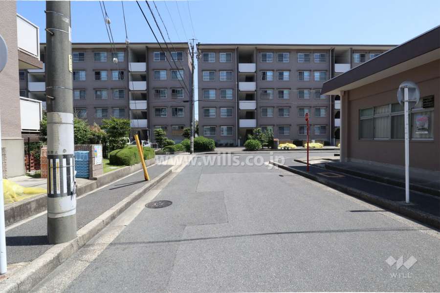 敷地西側の前面道路（北側から）