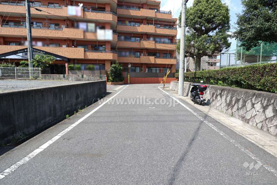 敷地南側の前面道路（南側から）