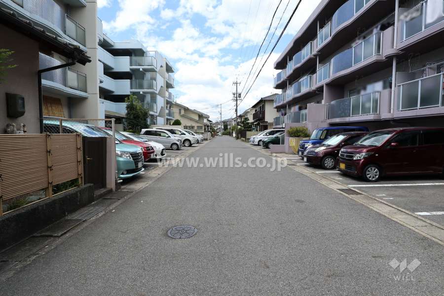 敷地南側の前面道路（東側から）