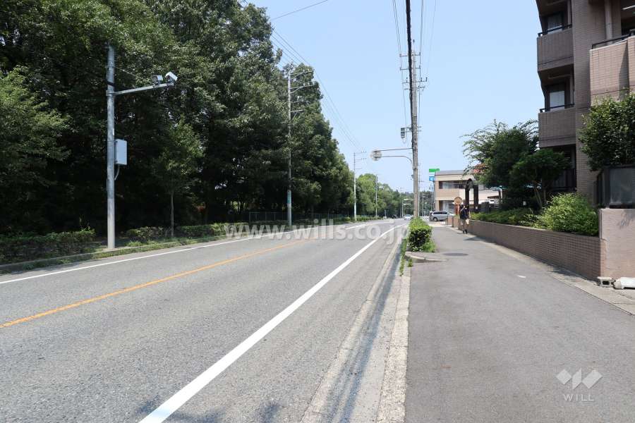 敷地西側の前面道路（南側から）