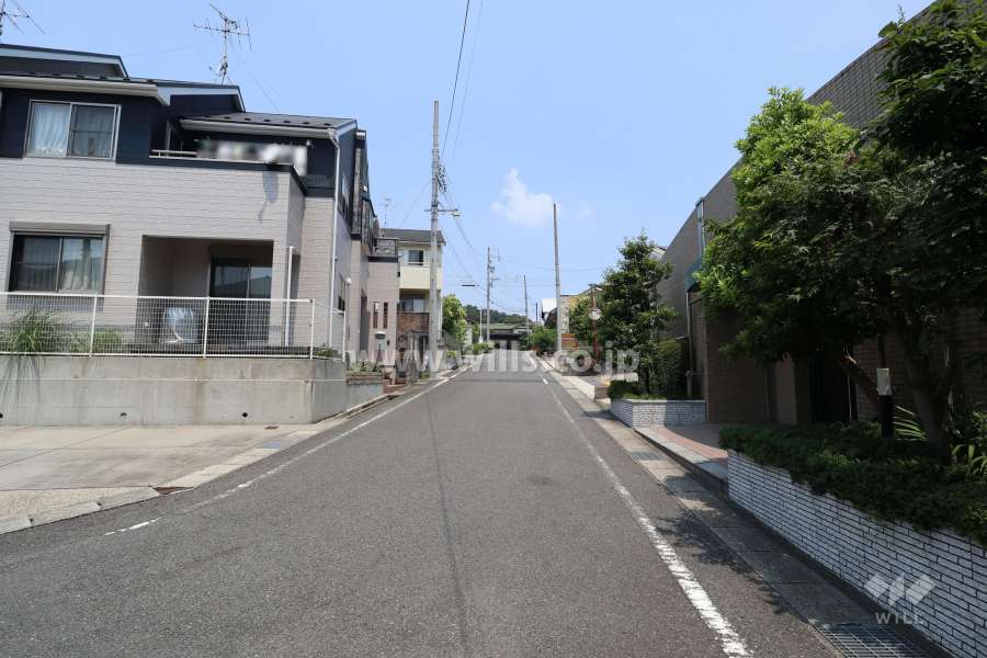 敷地西側の前面道路（南側から）