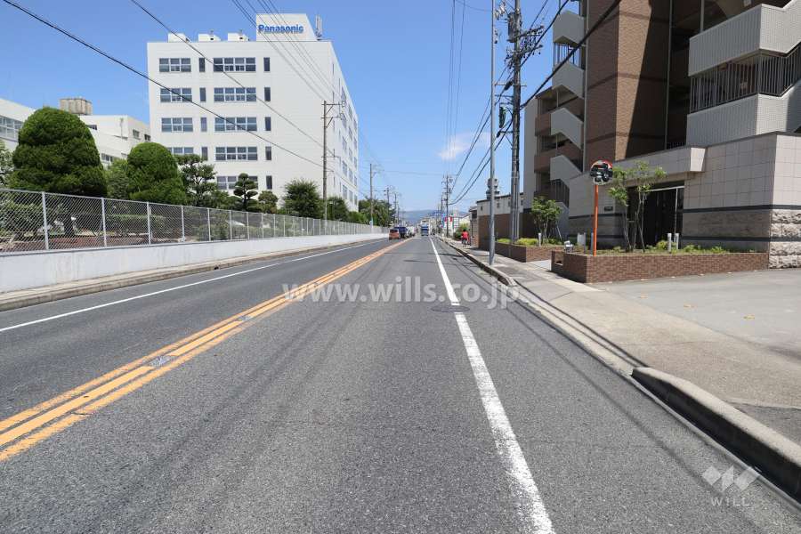 敷地北側の前面道路（西側から）