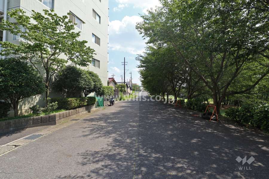 敷地西側の前面道路（北側から）