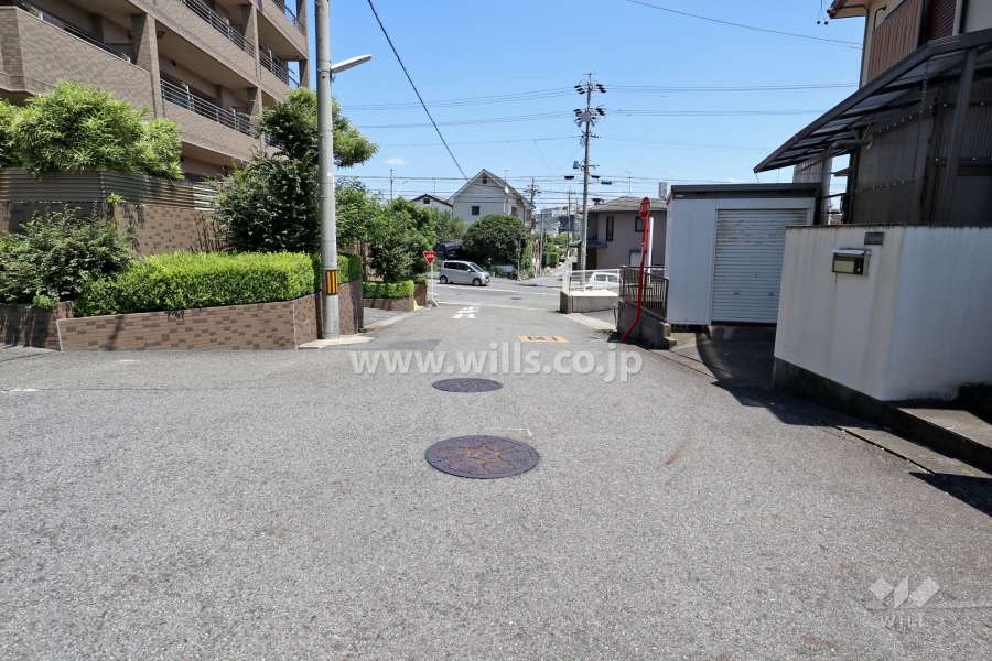 敷地南側の前面道路（西側から）