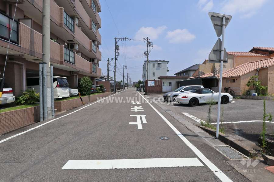 敷地南側の前面道路（西側から）