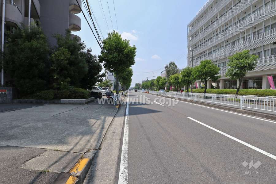 敷地北側の前面道路（東側から）