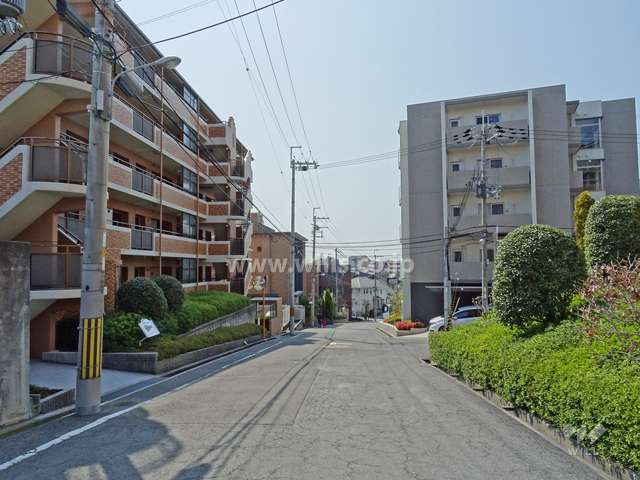 敷地北西側の前面道路（北東側から）