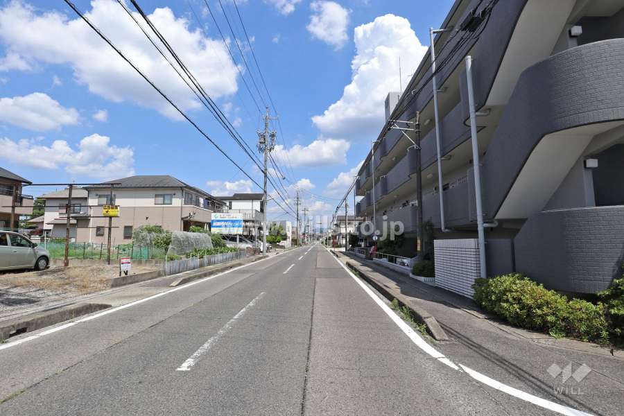 敷地北側の前面道路（西側から）