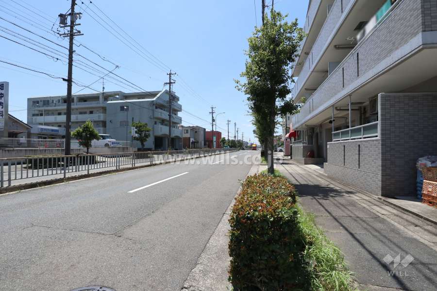 敷地南東側の前面道路（北東側から）