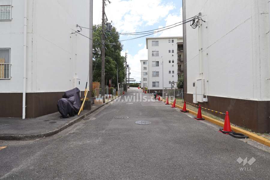 敷地西側の前面道路（北側から）