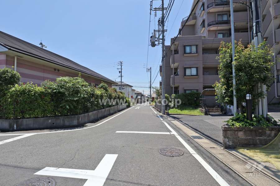 敷地西側の前面道路（北側から）