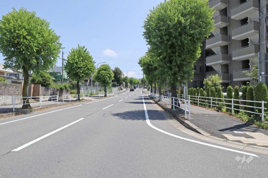 敷地北側の前面道路（西側から）
