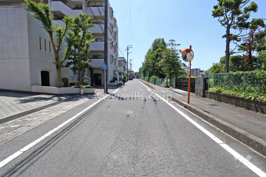 敷地西側の前面道路（北側から）