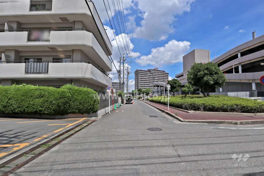 敷地東側の前面道路（南側から）