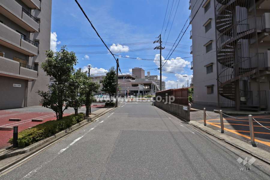 敷地西側の前面道路（北側から）