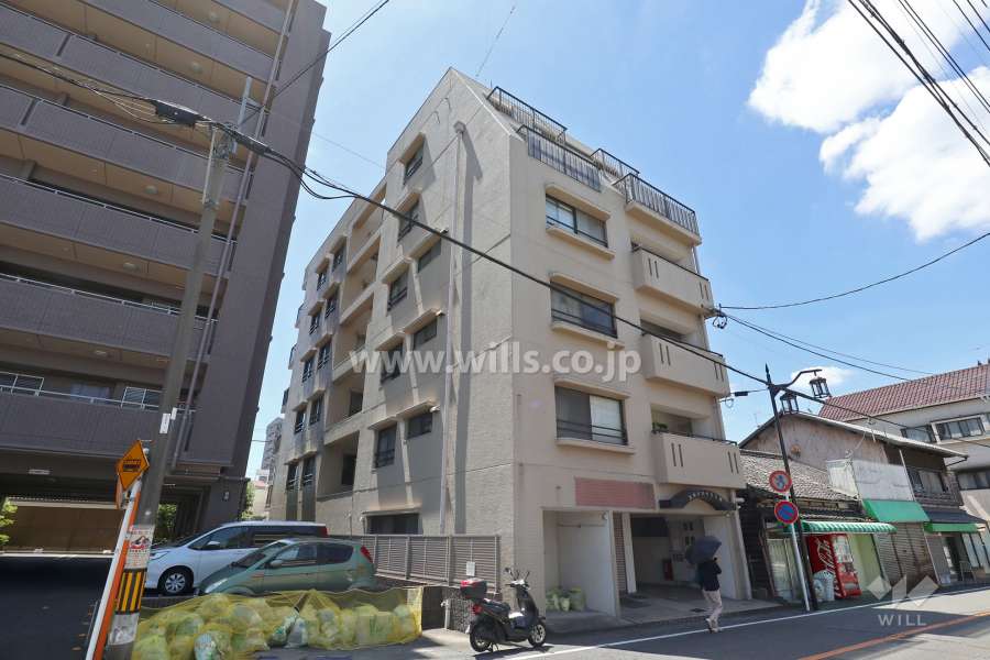 スカイハイツ三郷の外観（北東側から）