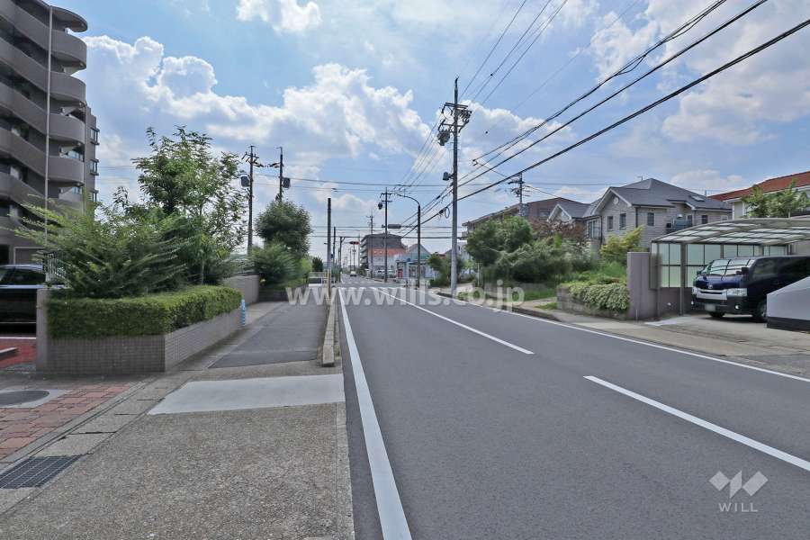 敷地北側の前面道路（東側から）