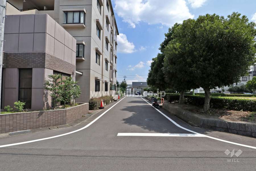 敷地西側の前面道路（北側から）