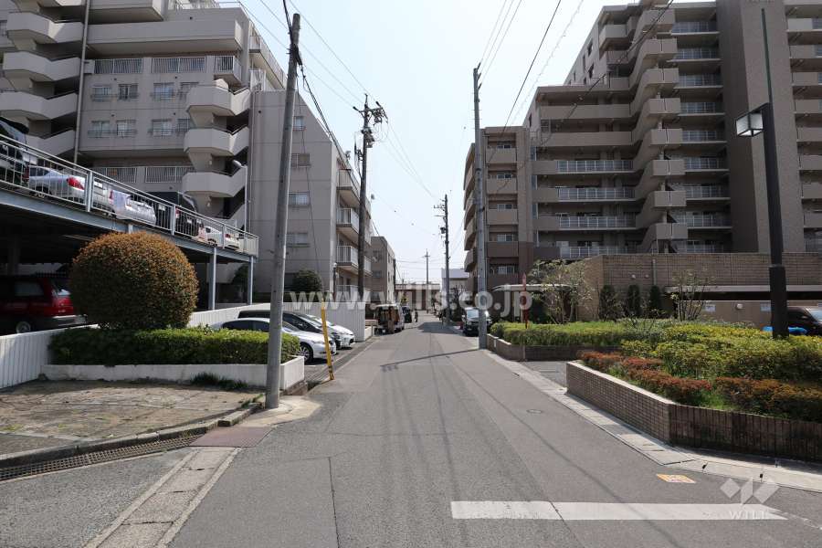 敷地東側の前面道路（北側から）