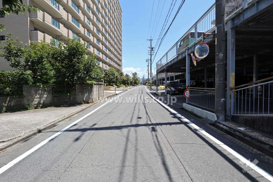 敷地南側の前面道路（西側から）