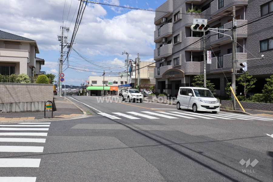 敷地西側の前面道路（南側から）