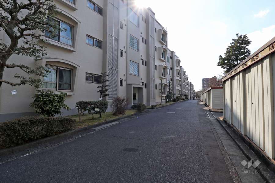 敷地北側の前面道路
