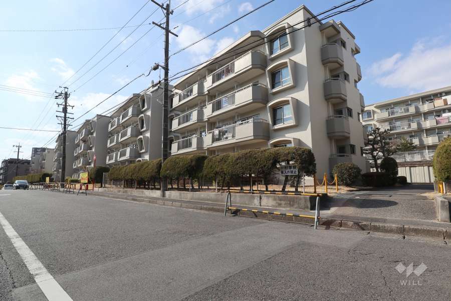 敷地南側の前面道路