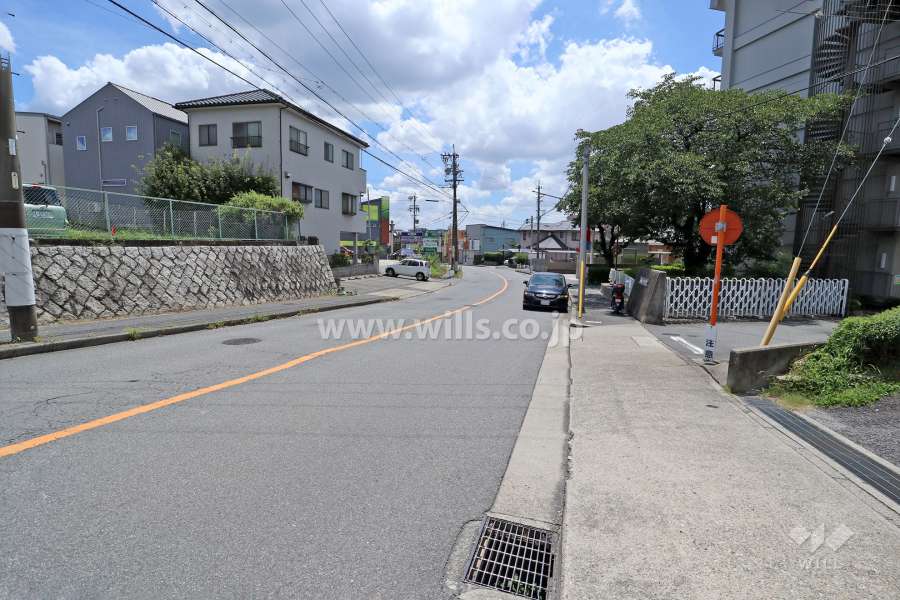 敷地東側の前面道路（北側から）