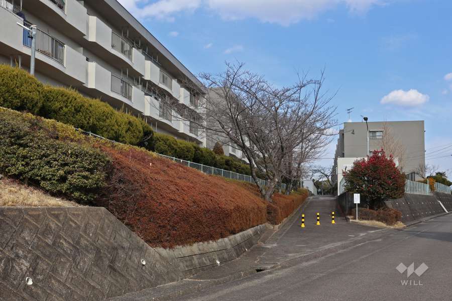 敷地入り口