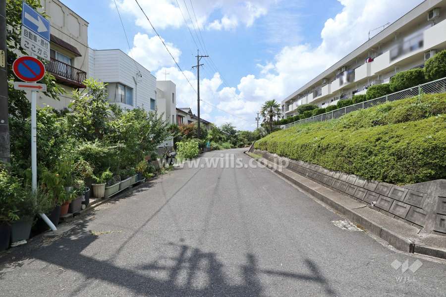 敷地南側の前面道路（東側から）