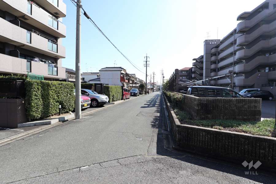 敷地南側の前面道路（西側から）