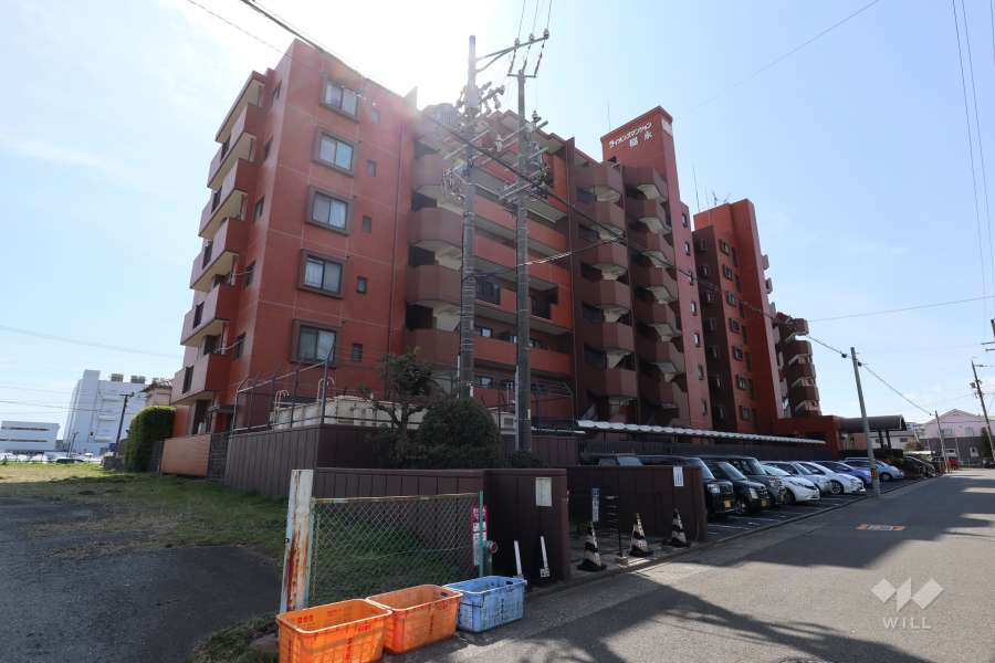 ライオンズマンション稲永の外観（北東側から）