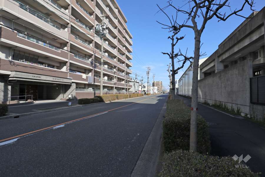 敷地東南側の前面道路（南西側から）