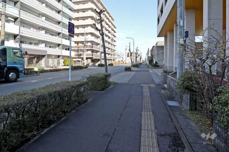 敷地南側の前面道路（西側から）