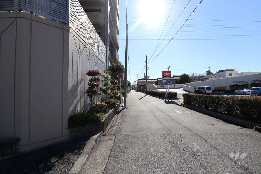 敷地西側の前面道路（北側から）