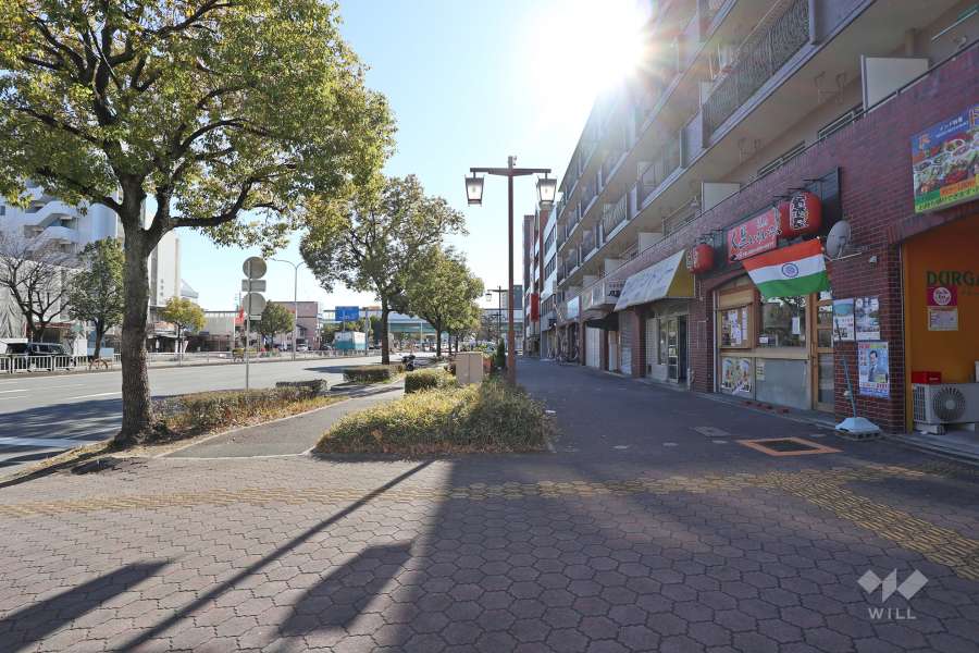敷地東側の前面道路（北側から）