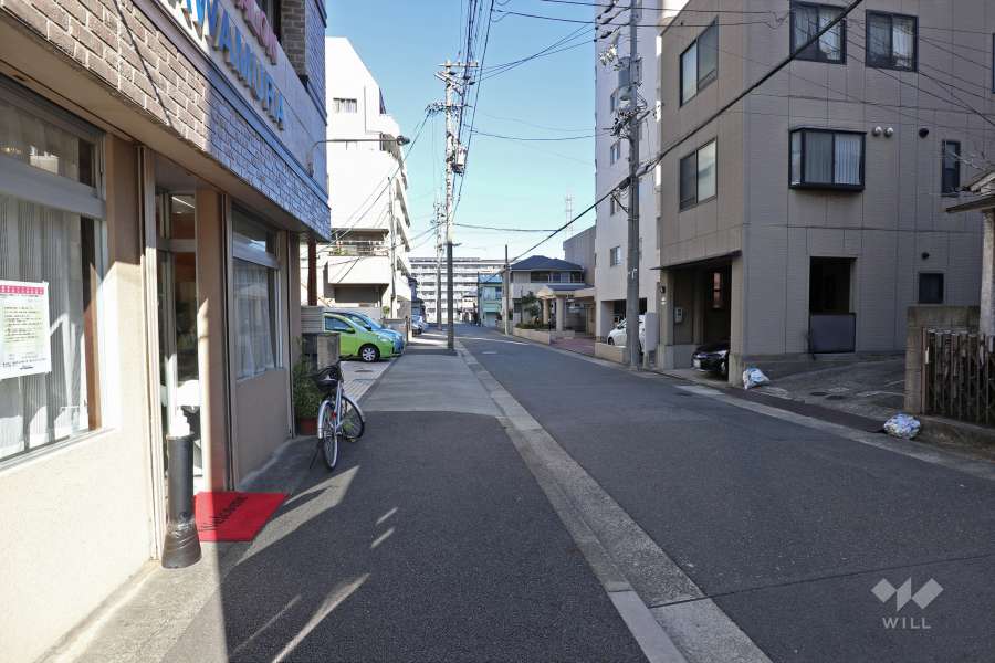 敷地北西側の前面道路（南西側から）