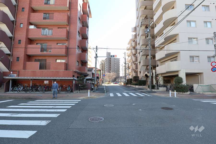 敷地南西側の前面道路（北西側から）