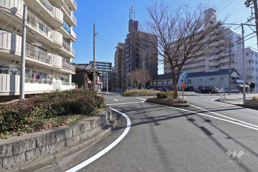 敷地南西側の前面道路（北西側から）