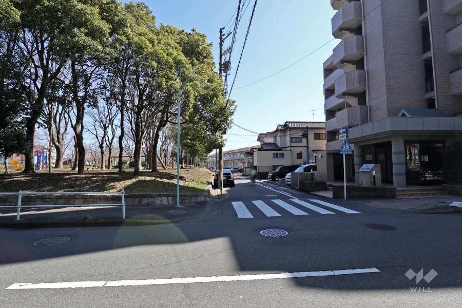 敷地北側の前面道路（春田野第38号線）