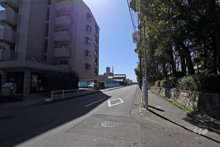 敷地西側の前面道路（北側から）
