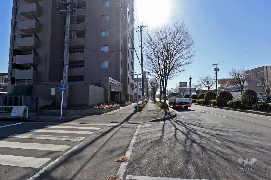 敷地西側の前面道路（北側から）
