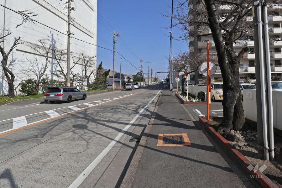敷地西側の前面道路（南側から）